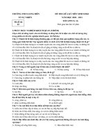 ĐỀ KIỂM TRA GIỮA KÌ 1