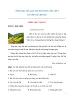 Phiếu bài tập môn tiếng việt lớp 4