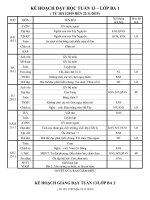 Khối 3 - Kế hoạch giảng dạy tuần 13