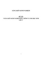 skkn rèn CHÍNH tả CHO học SINH lớp 3 