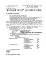 Kế hoạch Chuyên môn tháng 10 năm 2020