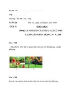 Khoa học 5_ Cơ quan sinh sản của thực vật có hoa (Tiết 51-Tuần 26)