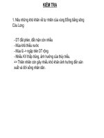 Địa 9.Bai 36 Vung Dong bang song Cuu Long tiep theo. Hươngpp5