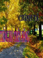 Chính tả - Tuần 11- Bài: Tiếng hò trên sông Hương
