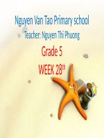 Tuần 28 - _Bài học trực tuyến môn tiếng Anh khối 5_HK2_2019-2020