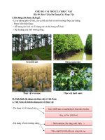 Sinh 6: CHỦ ĐỀ: VAI TRÒ CỦA THỰC VẬTBài 49: Bảo Vệ Sự Đa Dạng Của Thực Vật