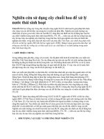 Nghiên cứu sử dụng cây chuối hoa để xử lý nước thải sinh hoạt