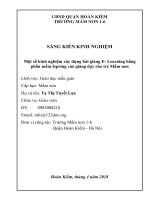 SKKN: Một số kinh nghiệm xây dựng bài giảng E- Learning ...