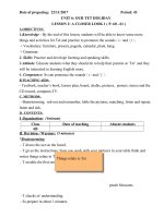 Tuần 15- Tiếng anh 6