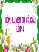 LTVC 4 - Tuần 16 - Bài 1: MRVT: Câu kể