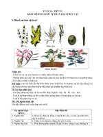 Sinh 6: TUẦN 24 - TIẾT 47: KHÁI NIỆM SƠ LƯỢC VỀ PHÂN LOẠI THỰC VẬT