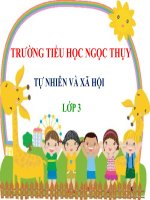 TNXH 3- TUẦN 28- TRÁI ĐẤT LÀ MỘT HÀNH TINH TRONG HỆ MẶT TRỜI- MẶT TRĂNG LÀ VỆ TINH CỦA TRÁI ĐẤT