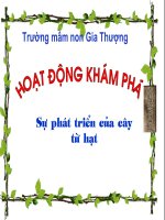 BGĐT Tháng 8_KPKH: Sự phát triển của cây _ Nguyễn Thị Hường