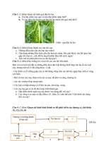 THAM KHẢO MỘT SỐ ĐỀ ÔN THI HK2 - NĂM HỌC 2017- 2018 (MÔN SINH KHỐI 6)