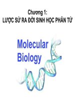 Bài giảng sinh học phân tử (Đại Học Nông Nghiệp Hà Nội)