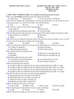 Đề kiểm tra học kì 1 môn Vật Lý Khối 7 2019-2020