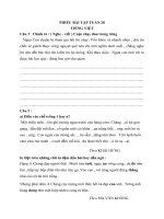 PHIẾU BÀI TẬP TIẾNG VIỆT LỚP 3        TUẦN 28 - MÔN CHÍNH TẢ