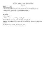 # Đáp án - Khối 2 - Tuần 24