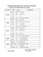 Kế hoạch dạy học trực tuyến lớp 1 - Tuần 28.