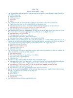 Đáp án Môn Tin Học Lớp 6 - Tuần 22 - 23