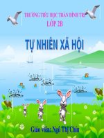 GADT_TNXH2: Ăn uống đầy đủ_Ngô Thị Chín - Website Trường Tiểu Học Trần Đình Tri - Đại Lộc - Quảng Nam