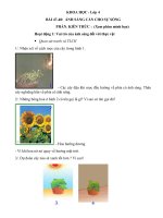 Bài học thứ tư, ngày 22 tháng 4 năm 2020 - Khối lớp 4