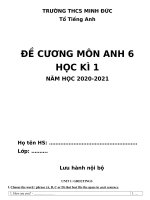 đề cương ôn tập kiểm tra học kỳ i môn anh văn năm học 2020  2021  thcs minh đức