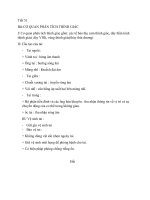 Sinh 8: Tiết 51Bài CƠ QUAN PHÂN TÍCH THÍNH GIÁC