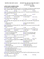 Đề kiểm tra học kì 1 môn Hóa Học Khối 9 2019-2020