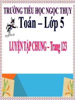 Toán 5 - Tuần 24 - Luyện tập chung Tr123