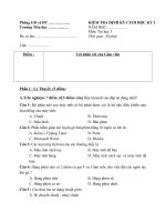 đề thi tin học khối 3