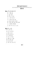 TÀI LIỆU ÔN TẬP TẠI NHÀ - KHỐI 6 (Tuần 9)