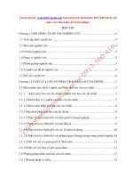 MTTV_Phân Tích BCTC Công Ty Cổ phần Vĩnh Hoàn Giai đoạn 2017  2019