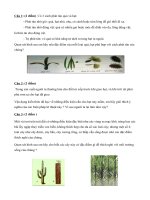 THAM KHẢO MỘT SỐ ĐỀ ÔN THI HK2 - NĂM HỌC 2017- 2018 (MÔN SINH KHỐI 6)