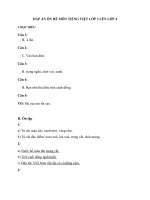 ĐÁP ÁN ĐỀ ÔN TẬP HÈ LỚP 3 LÊN LỚP 4 MÔN TIẾNG VIỆT - ĐỀ SỐ 1 (LẦN 3)