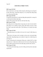 Đáp án Môn Vật Lí Lớp 8 - Tuần 28 - 29