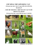 Tuần 27: Chủ đề 10: 