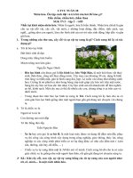 PHIẾU BÀI TẬP TIẾNG VIỆT LỚP 3       MÔN LTVC - TUẦN 28