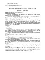 Bài học lịch sử 9 tuần 13, 14 HK2