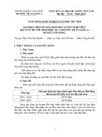 SKKN một số GIẢI PHÁP rèn LUYỆN NGHI THỨC đội TNTP hồ CHÍ MINH HIỆU QUẢ TRƯỜNG TH AN LONG a , HUYỆN TAM NÔNG 