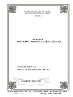 mẫu kế hoạch bồi dưỡng thường xuyên cá nhân  trường tiểu học trần quang diệu