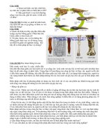 THAM KHẢO MỘT SỐ ĐỀ ÔN THI HK2 - NĂM HỌC 2017- 2018 (MÔN SINH KHỐI 7)