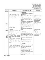 giáo án chính tuần 6 : Chủ đề Bản thân: Nhánh 