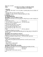 CN7-VAI TRÒ CỦA GIỐNG VÀ PHƯƠNG PHÁP CHỌN TẠO GIỐNG CÂY TRỒNG - Website Trường THCS Phan Bội Châu - Đại Lộc - Quảng Nam