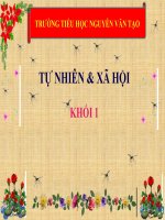 2020 _Bài học trực tuyến các môn học khối 1_HK2_2019-2020