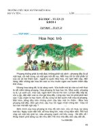 bài tập thực hành tuần 23 cho học sinh lớp 4 trong thời gian nghỉ dịch bệnh covid19  tiểu học huỳnh kiến hoa