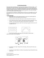 3d. Qua đường giữa thân