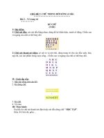 Bài học môn mỹ thuật 6 tuần 9, 10 HK2