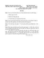 Bài tập Ngữ Văn 6