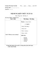 Nội dung học tuần 24: môn tiếng Anh (Khối Ba)